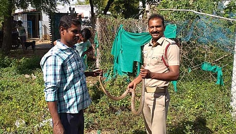 வேலியில் சிக்கிய பாம்பை தீயணைப்பு படையினர் மீட்ட காட்சி.