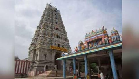 பேளூர் தான்தோன்றீஸ்வரர் கோவில் தெப்பக்குளம், விளைநிலம் அளவீடு