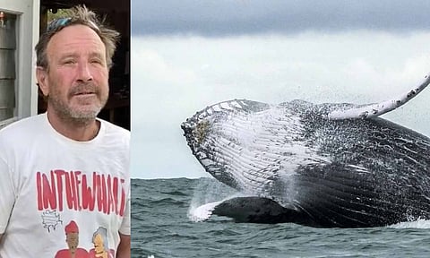 மைக்கேல் பேக்கார்ட்&nbsp; &nbsp; &nbsp; &nbsp; &nbsp; &nbsp; &nbsp; &nbsp; ராட்சத திமிங்கலம்(கோப்பு படம்)