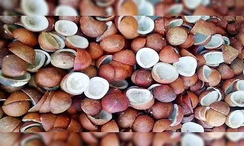 காேப்புபடம்