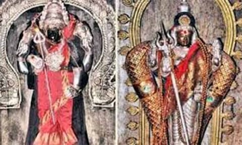 தோப்புத்துறை வனதுர்க்கை அம்மன்.