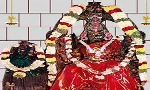 மேல்மலையனூர் அங்காளபரமேஸ்வரி அம்மன் கோவிலில் விளக்கு பூஜை