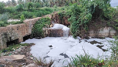 தொண்டாமுத்தூர் அருகே குடியிருப்பு பகுதிக்குள் வெள்ளை நுரையுடன் காற்றில் பறக்கும் சாயக்கழிவுகள்
