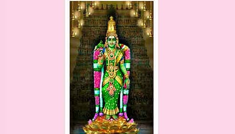 மீனாட்சி அம்மன்