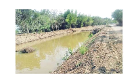 கோணக்கடுங்கால் ஆறு.