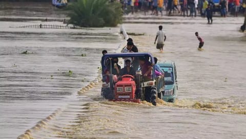 அசாம் வெள்ளம்
