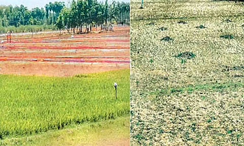 கோப்புபடம்.&nbsp;