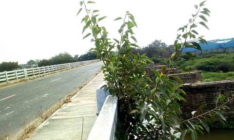 கோப்புபடம்.&nbsp;