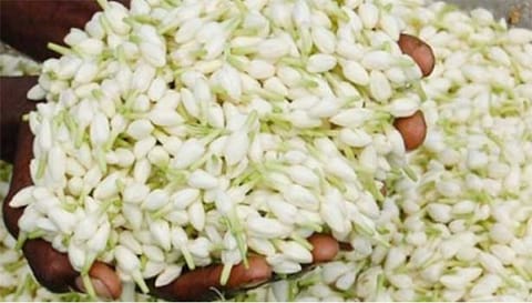 மல்லிகைப்பூ