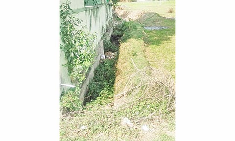 ஆக்கிரமிப்பில் உள்ள பாசன வாய்க்கால்.