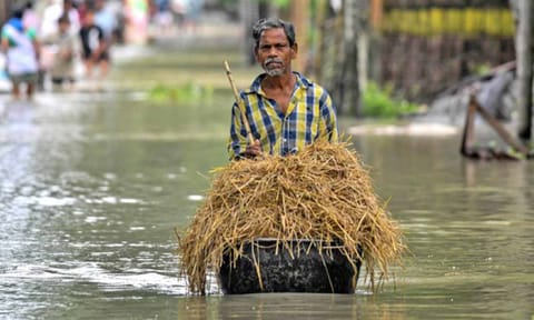 நல்பாரி மாவட்டத்தின் சோல்மாராவில் வெள்ள நீரில் மிதக்கும் ஒரு நபர் தனது கால்நடைகளுக்கு உணவை எடுத்துச் செல்கிறார்.