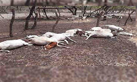 கோப்புபடம்