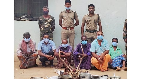 ஆனைகட்டியில் மான் இறைச்சி வைத்திருந்த 11 பேருக்கு அபராதம்