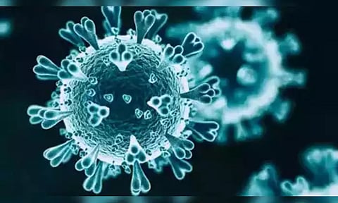 கொரோனா பாதிப்புடன் 33 பேர் சிகிச்சை
