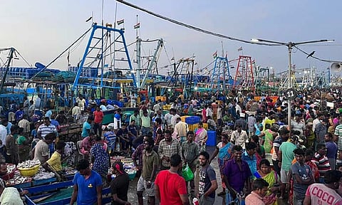 காசிமேடு மார்க்கெட்டில் பெரியவகை மீன்கள் விற்பனைக்கு குவிந்தது- விலை குறைவால் அசைவ பிரியர்கள் மகிழ்ச்சி