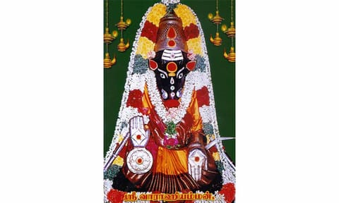 சிறப்பு அலங்காரத்தில் வராகி அம்மன்.