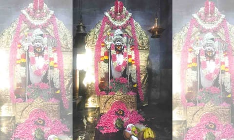 அமாவாசை அலங்காரத்தில் காட்சியளித்த காளிகுமாரசுவாமி