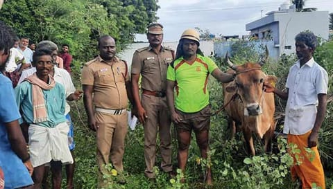 மீட்கப்பட்ட பசுமாட்டுடன் தீயணைப்பு வீரர்கள்.
