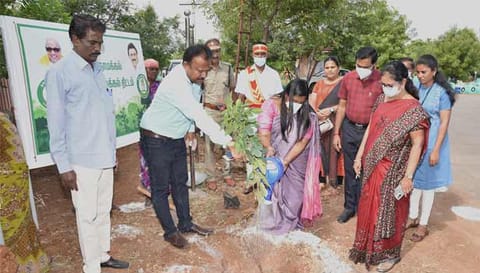 மரக்கன்று நடும்பணியை கலெக்டர் ஸ்ரேயா பி.சிங் தொடங்கி வைத்த காட்சி.