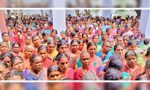 கால்நாட்டு விழாவில் கலந்து கொண்ட பெண்களின் ஒரு பகுதியினர்.