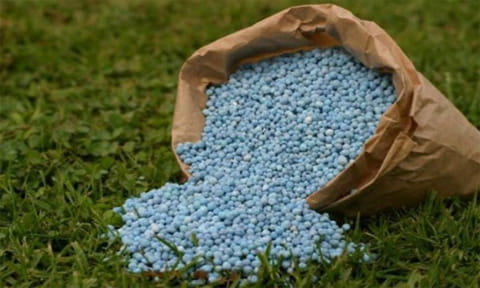 கோப்பு படம்