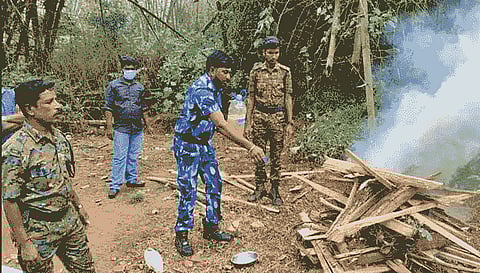 வனவிலங்குகளின் உடற்பாகங்கள் தீ வைத்து எரிப்பு