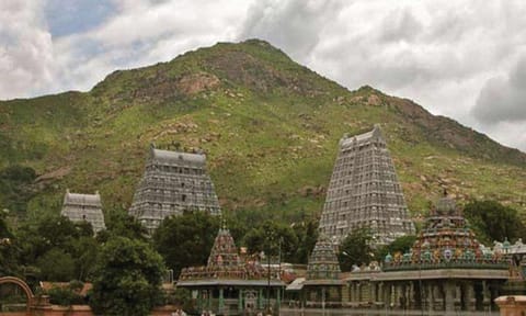 அருணாசலேஸ்வரர் கோவிலில் 1¼ கோடி உண்டியல் வசூல்