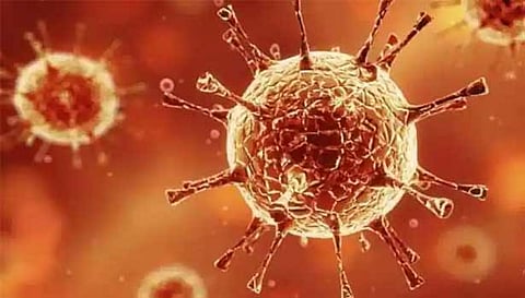 ஒரே நாளில் மேலும் 28 பேருக்கு கொரோனா பாதிப்பு