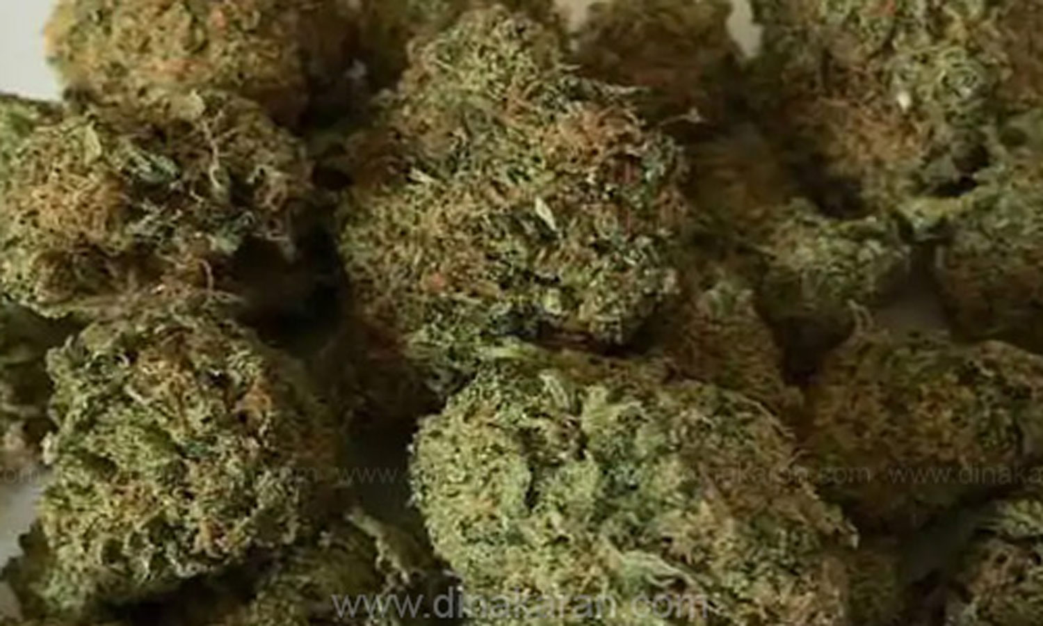 மோட்டார் சைக்கிளில் கஞ்சா கடத்திய வாலிபர் கைது