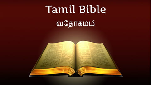 தஞ்சை அருங்காட்சியகத்தில் இருந்து 2005-ல் மாயமான பைபிள் லண்டனில் கண்டுபிடிப்பு