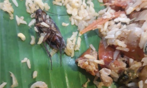 பிரியாணியில் கரப்பான் பூச்சி இருந்த காட்சி.