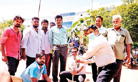 மரக்கன்று நடும் விழா நடை பெற்ற காட்சி.