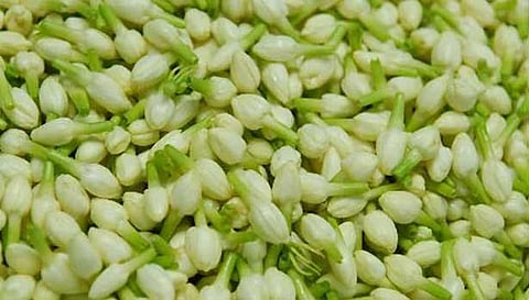 குண்டுமல்லிகை கிலோ ரூ.200 ஆக சரிவு