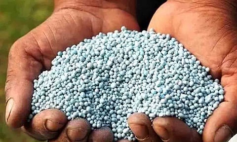 கோப்புபடம்.&nbsp;