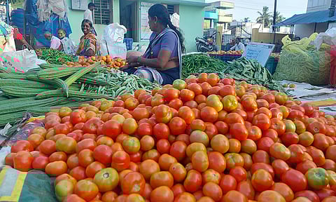 தருமபுரி மார்க்கெட்டில்  தக்காளி விலை சரிவு