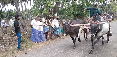 நெகமம் அருகே ரேக்ளா பந்தயத்தில் சீறிப்பாய்ந்த காளைகள்