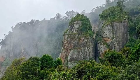 கொடைக்கானல் தூண்பாறையில் நிலவிய கடும் பனிமூட்டம்.