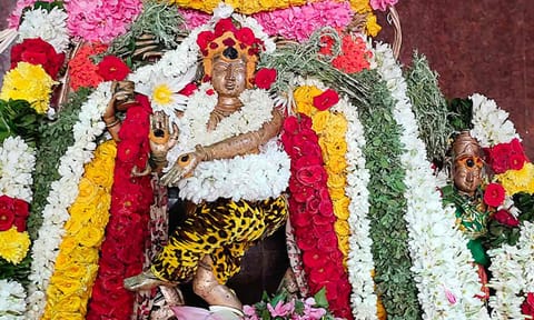 கைலாசநாதர் கோவிலில் ஆனி திருமஞ்சன விழா