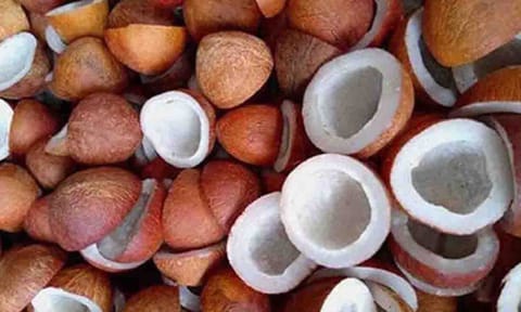 கோப்புபடம்.