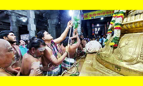 அருணாசலேஸ்வரர் கோவிலில் ஆனி பிரமோற்சவ விழா கொடியேற்றம் நடைபெற்ற போது எடுத்த படம்.