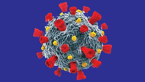 நெல்லையில் கொரோனா புதிய பாதிப்பு 85-ஆக குறைந்தது