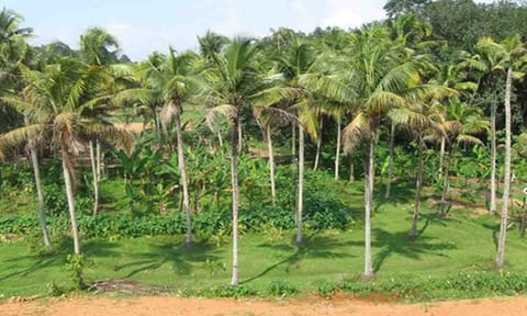 கோப்புபடம்.