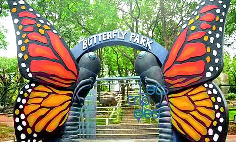 சிறுவர்- பட்டாம்பூச்சி பூங்கா  அமைக்கும் பணி தீவிரம்