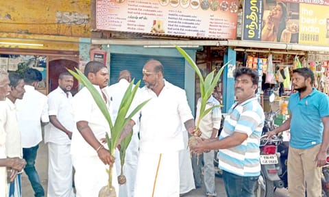 தென்னங்கன்றுகள் வழங்கப்பட்டது.