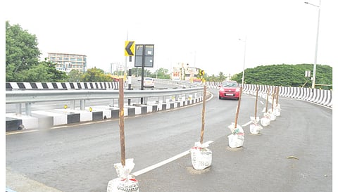 கோவை-திருச்சி மேம்பாலத்தில் 10 அடி உயரத்துக்கு இரும்பு தடுப்பு கம்பிகள் அமைக்க முடிவு