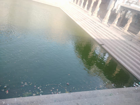 கடலூர் பாடலீஸ்வரர் ேகாவில் தெப்பகுளம் மாசுப்பட்டுள்ளதை  படத்தில் காணலாம்.