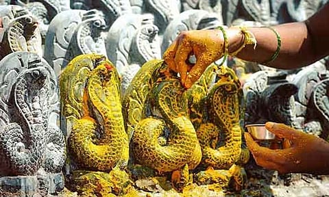 நாக தோஷம் போக்கும் நாகசதுர்த்தி வழிபாடு