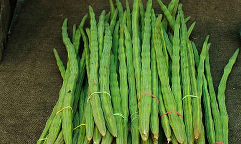 கோப்புபடம்.&nbsp;