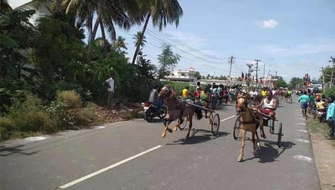 ரேக்ளா பந்தயத்தில் சீறிப்பாய்ந்த குதிரைகளை படத்தில் காணலாம்.