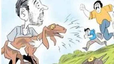 காரில் வந்து ஆடு திருடிய கும்பல்